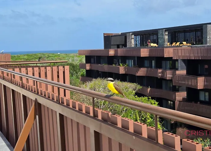 Apartment 2br In Zone - Jacuzzi - Free Club Access